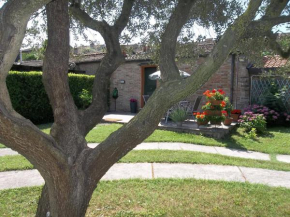 La Casina apartament Ferrara